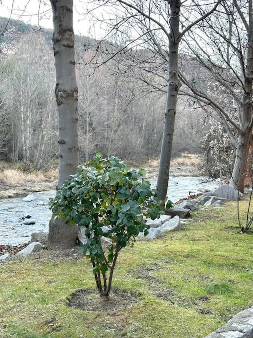 Acogedor Alojamiento En Martinet, Cerdanya, Puigcerda Kültér fotó